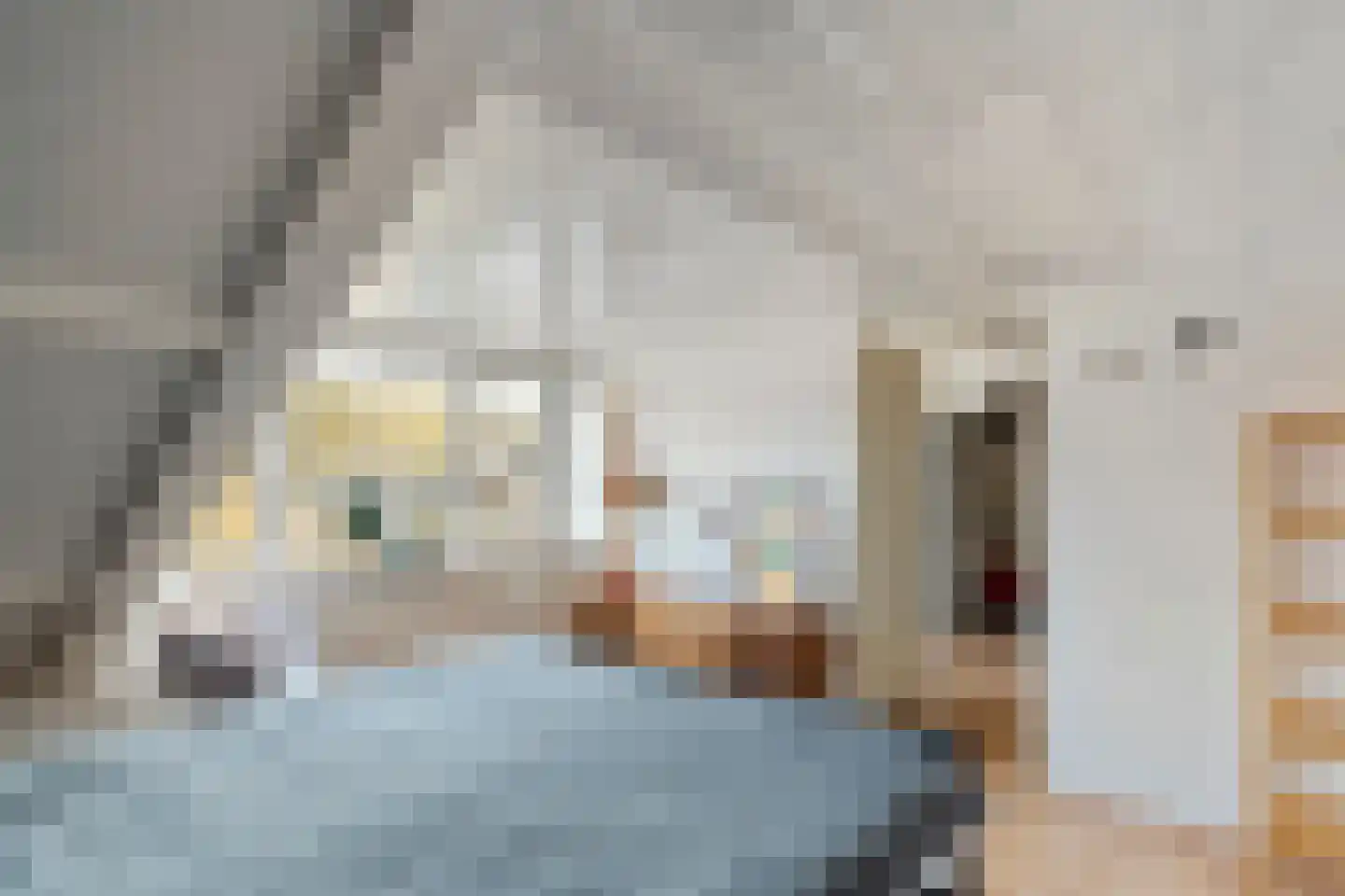 Broekerlaan 33 Scherpenzeel thumbnail 41