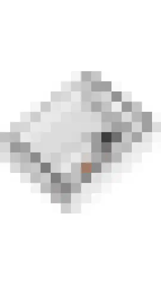 Broekerlaan 33 Scherpenzeel thumbnail 44