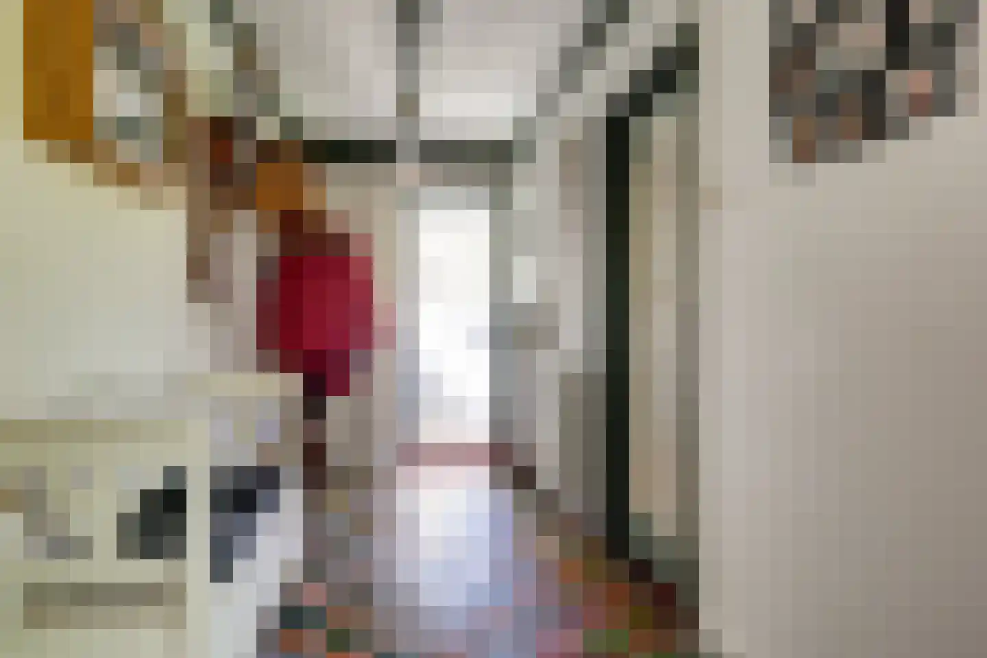 Broekerlaan 4 Hippolytushoef thumbnail 10
