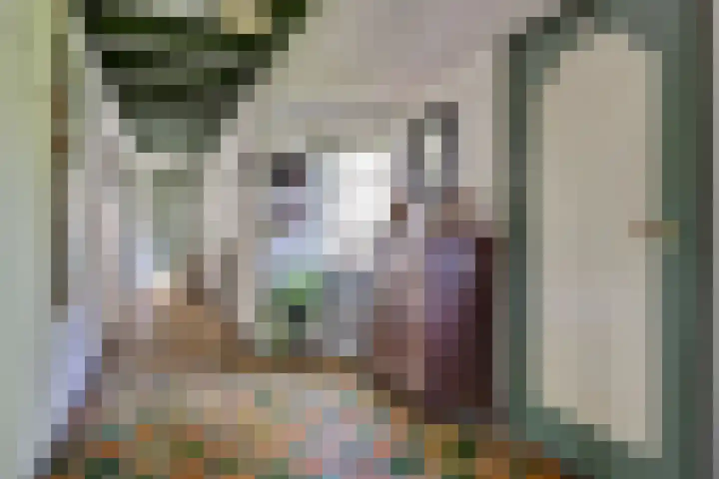 Broekerlaan 4 Hippolytushoef thumbnail 11