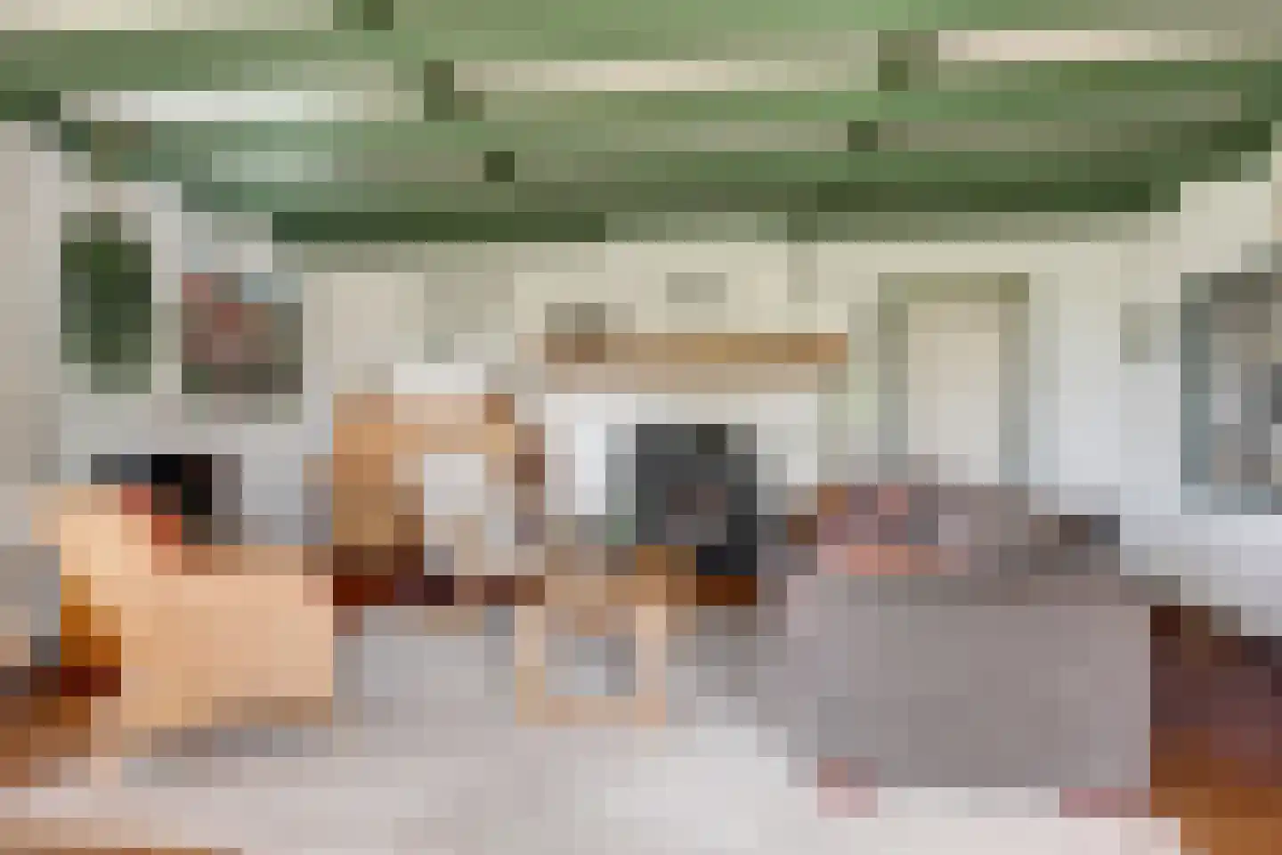 Broekerlaan 4 Hippolytushoef thumbnail 14