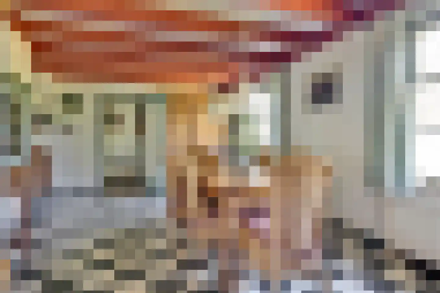 Broekerlaan 4 Hippolytushoef thumbnail 17