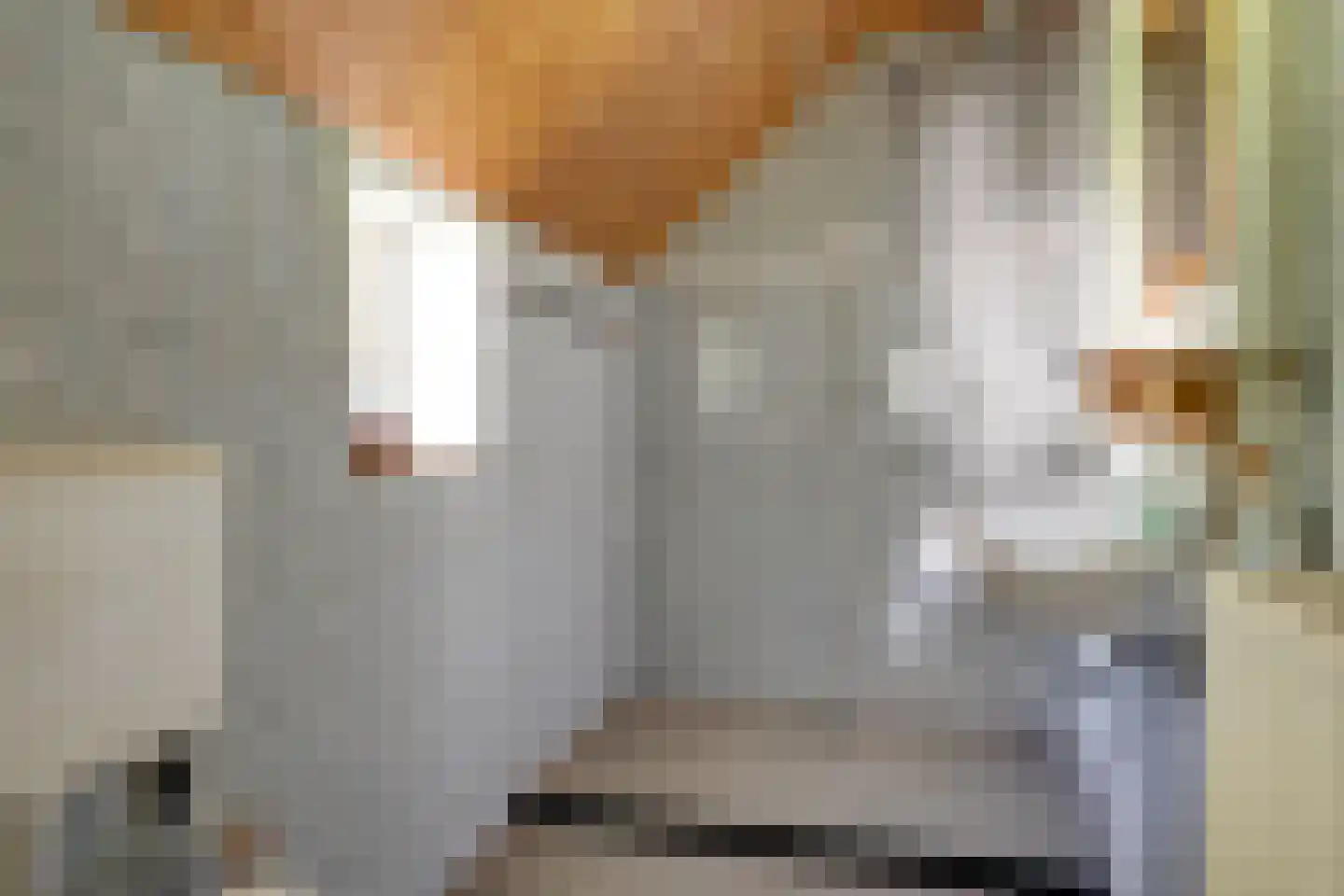 Broekerlaan 4 Hippolytushoef thumbnail 27