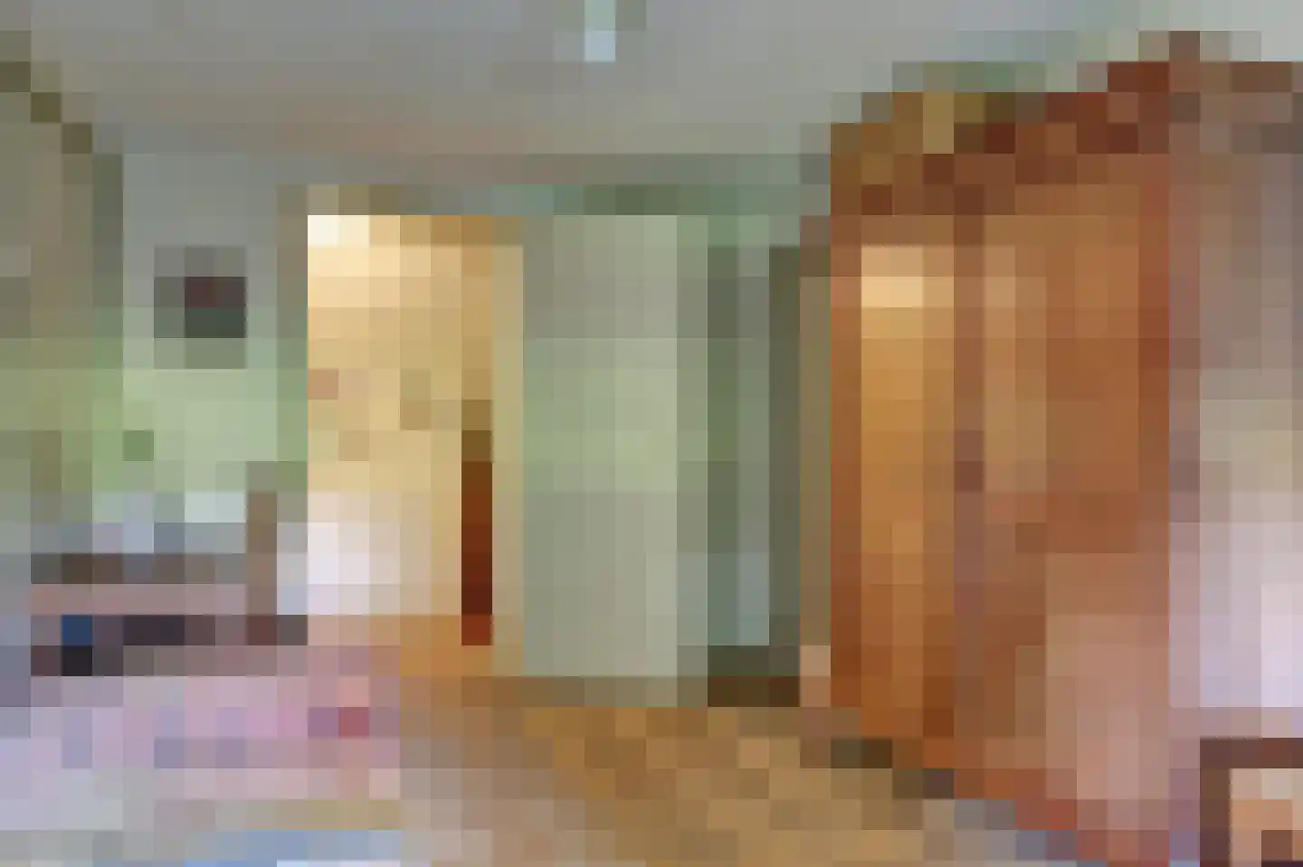 Broekerlaan 4 Hippolytushoef thumbnail 34
