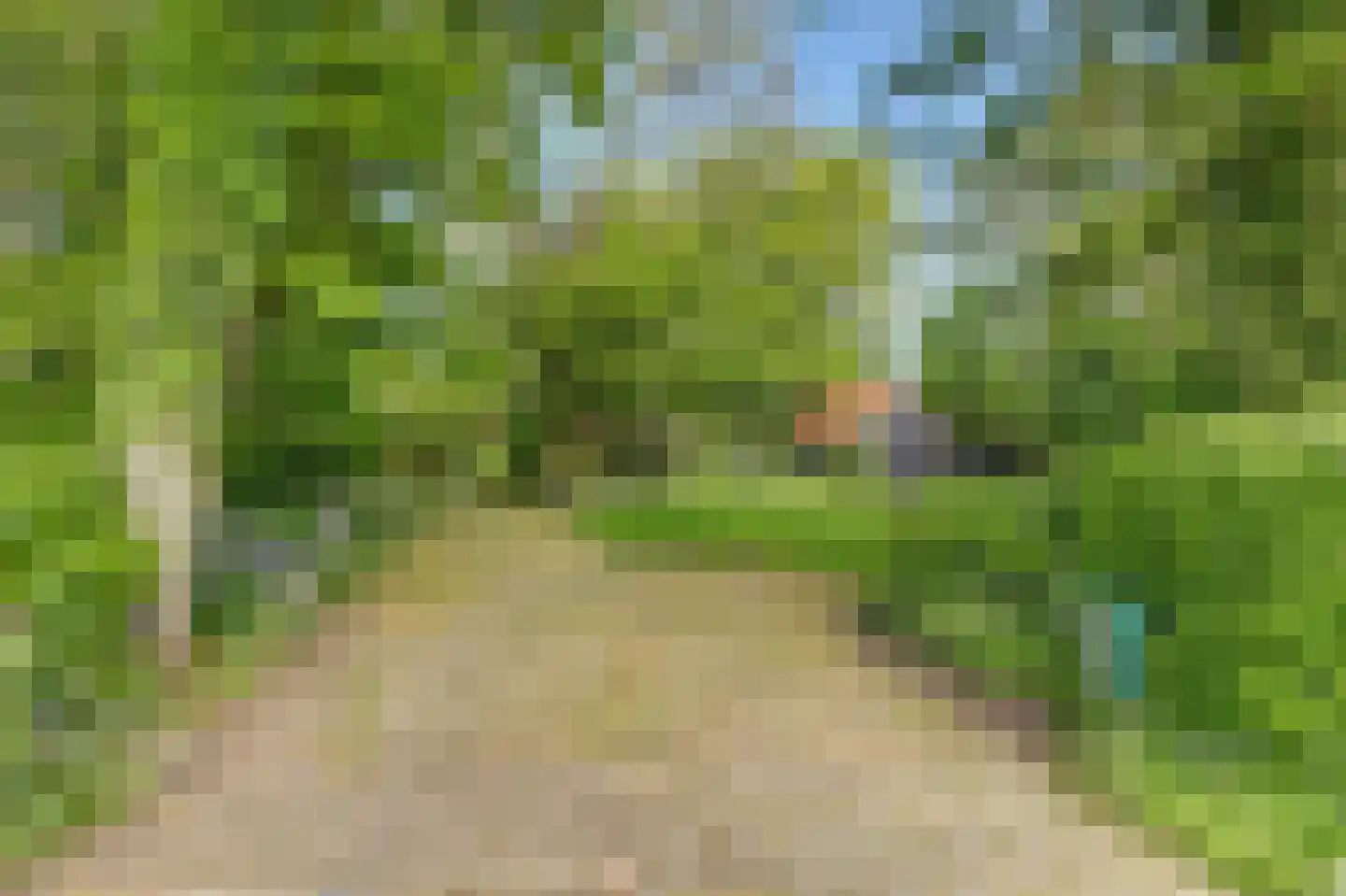 Broekerlaan 4 Hippolytushoef thumbnail 4
