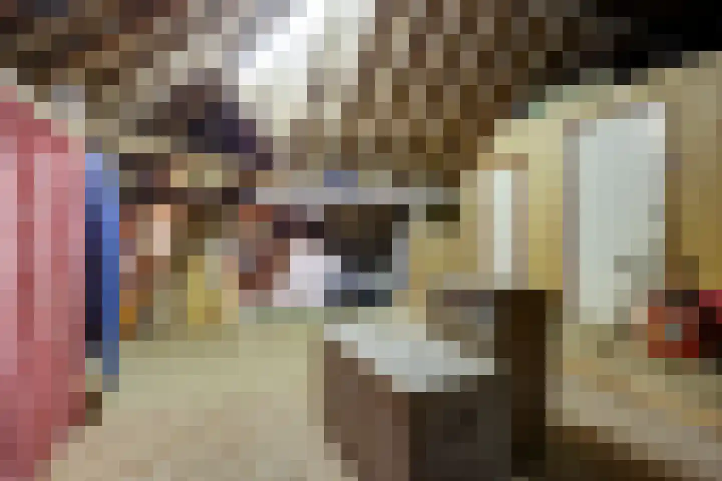 Broekerlaan 4 Hippolytushoef thumbnail 42