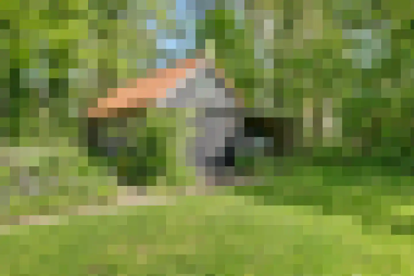 Broekerlaan 4 Hippolytushoef thumbnail 50