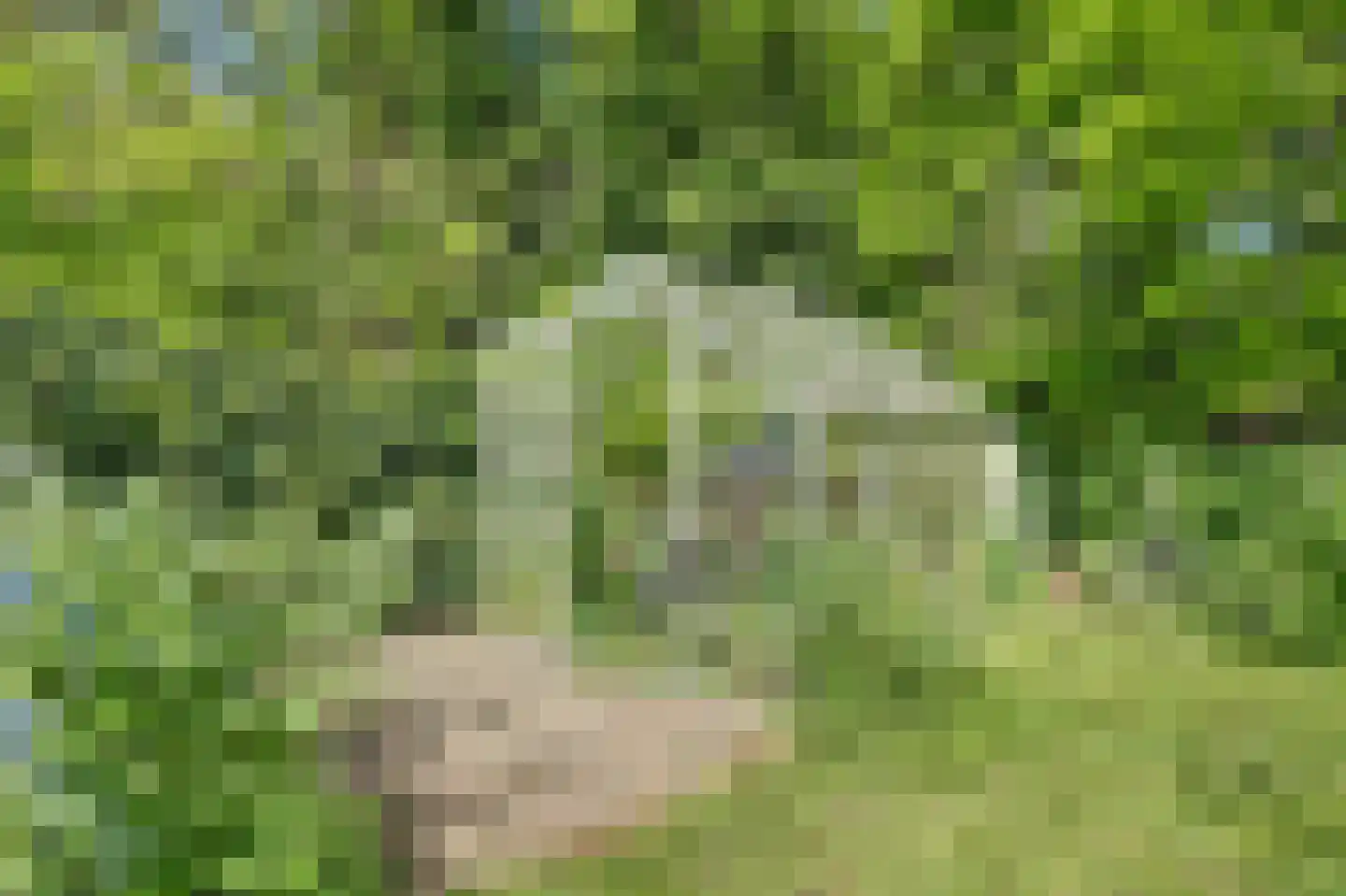 Broekerlaan 4 Hippolytushoef thumbnail 52