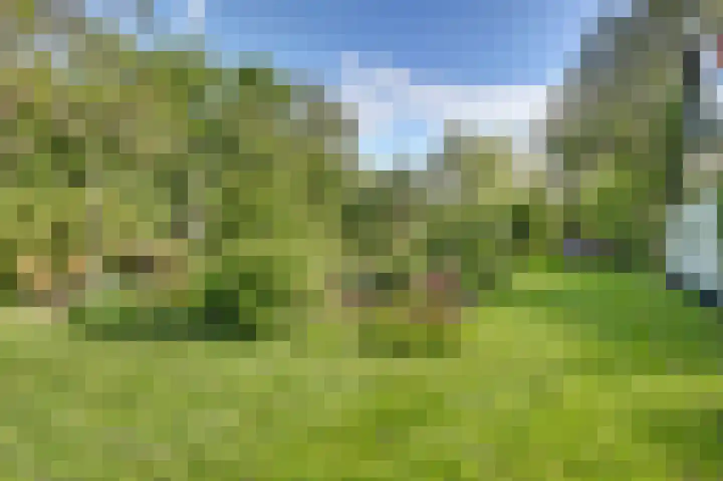 Broekerlaan 4 Hippolytushoef thumbnail 55