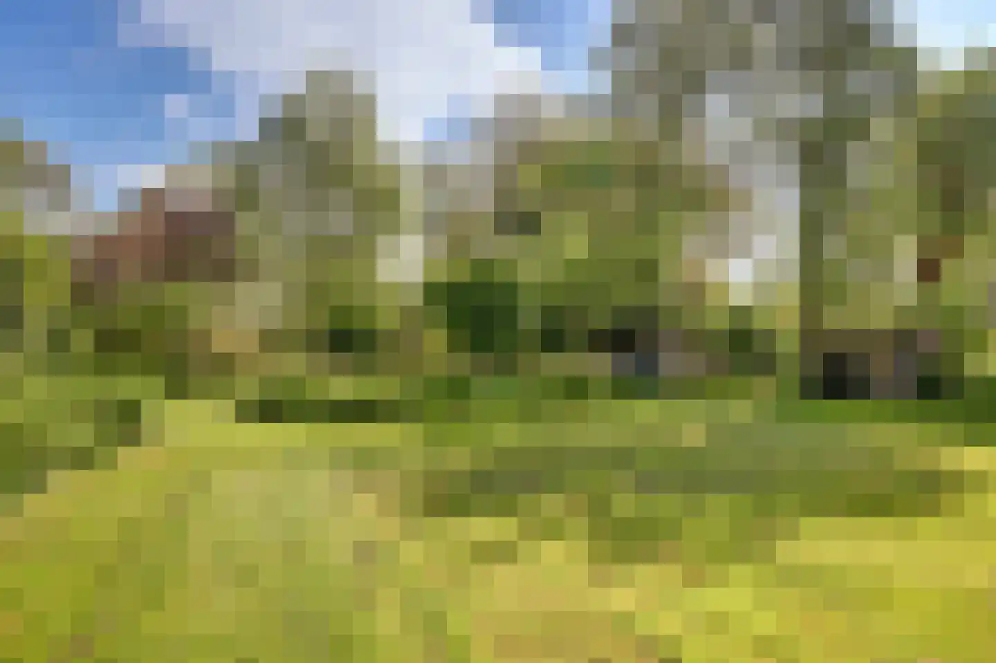 Broekerlaan 4 Hippolytushoef thumbnail 56