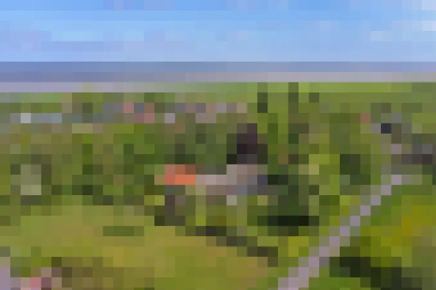 Broekerlaan 4 Hippolytushoef thumbnail 58