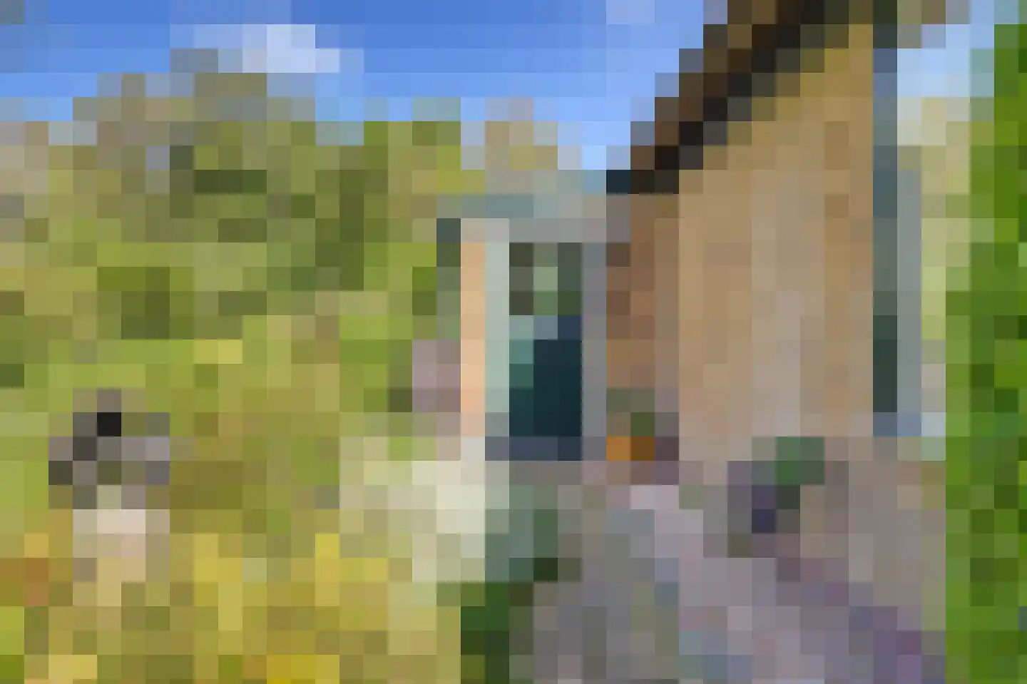 Broekerlaan 4 Hippolytushoef thumbnail 8