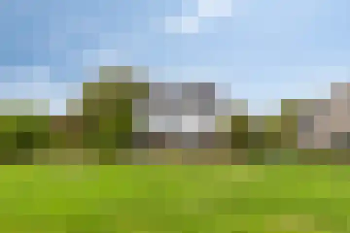 Broekermeerdijk 12 A Watergang thumbnail 51