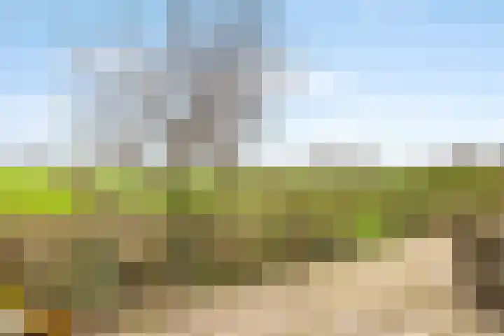 Broekermeerdijk 14 Watergang thumbnail 15