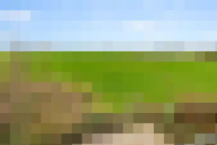 Broekermeerdijk 14 Watergang thumbnail 24