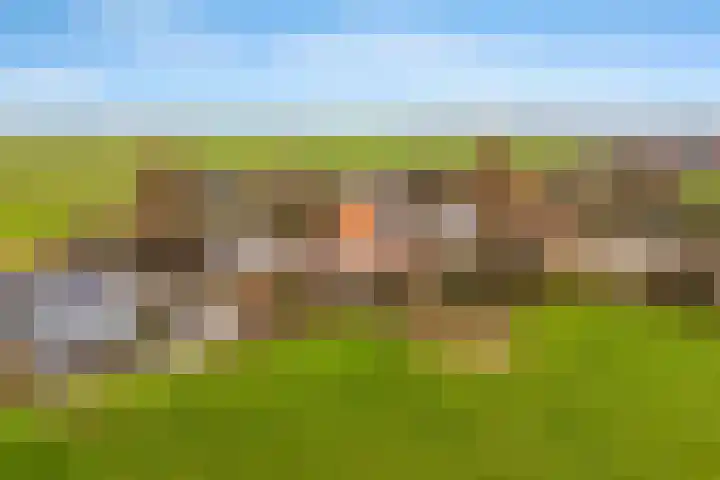 Broekermeerdijk 14 Watergang thumbnail 33