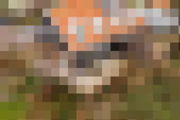 Broekermeerdijk 14 Watergang thumbnail 4