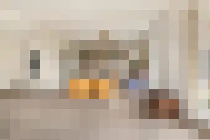 Broekermeerdijk 14 Watergang thumbnail 8