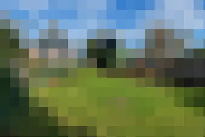 Broekermeerdijk 30 C Watergang thumbnail 38