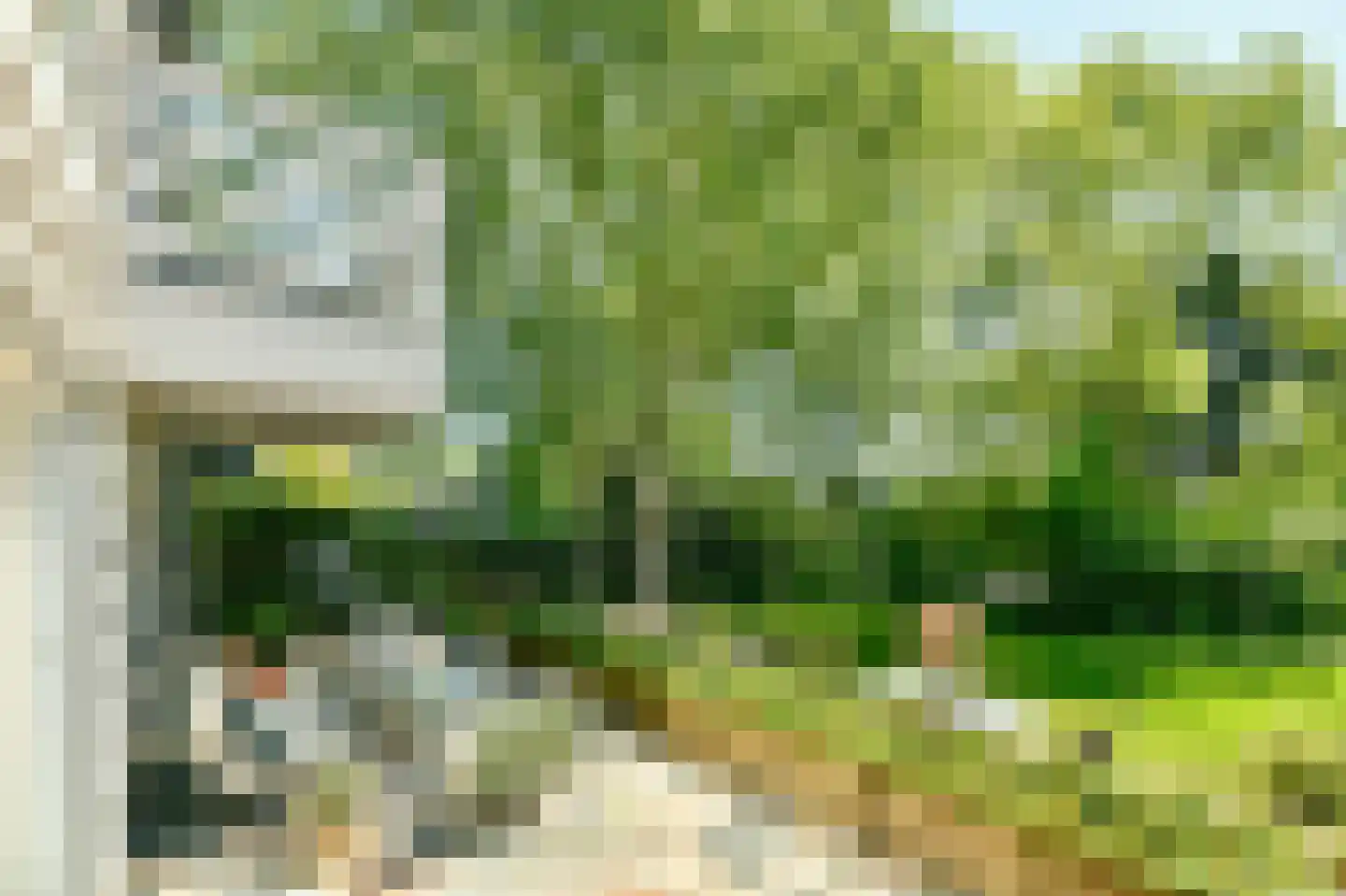 Broekermeerdijk 31 Broek in Waterland foto 3