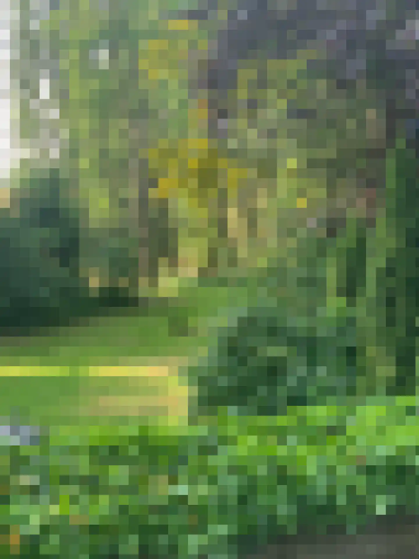 Broekermeerdijk 31 Broek in Waterland thumbnail 48