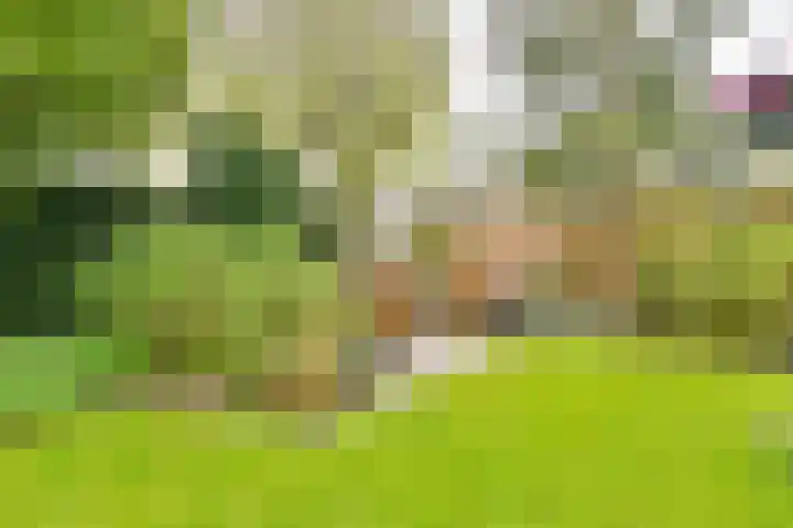 Broekermeerstraat 118 Hoofddorp thumbnail 29