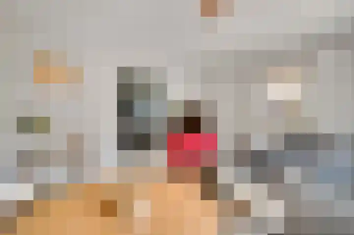 Broekerstraat 51 Leende thumbnail 5