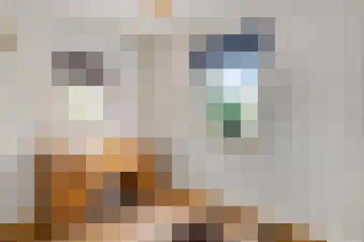 Broekerstraat 51 Leende thumbnail 7