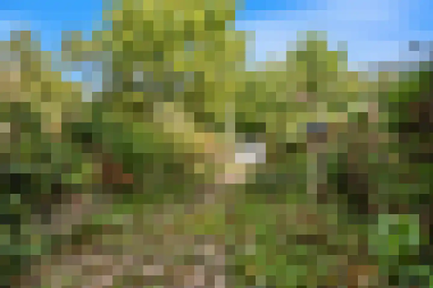 Broekerwaard 146 Alkmaar thumbnail 17