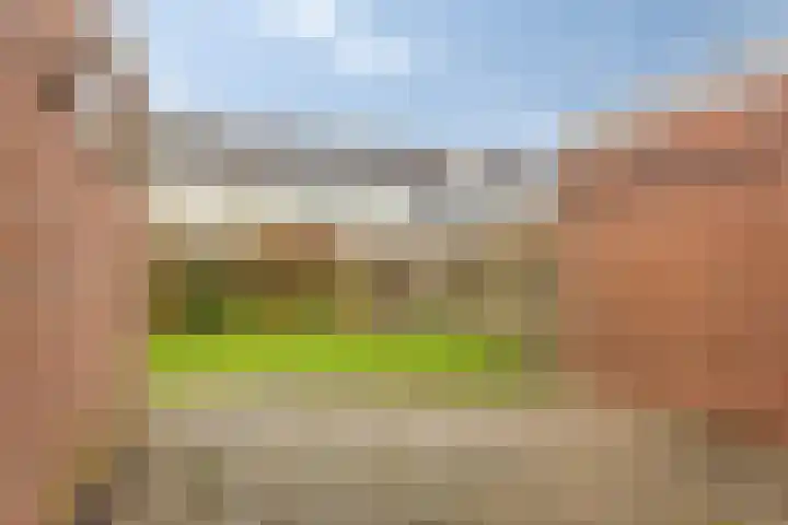 Broekerwaard 18 Alkmaar thumbnail 18