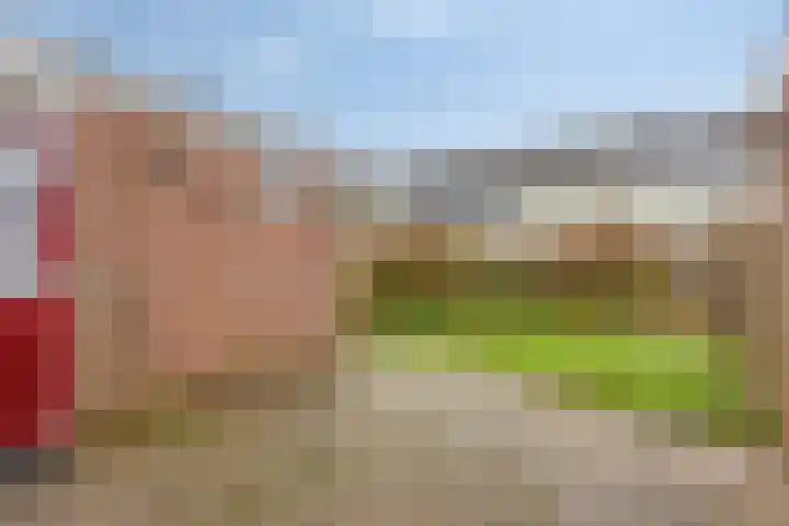 Broekerwaard 18 Alkmaar thumbnail 19