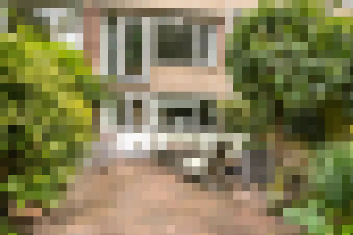 Broekerwaard 60 Alkmaar thumbnail 53