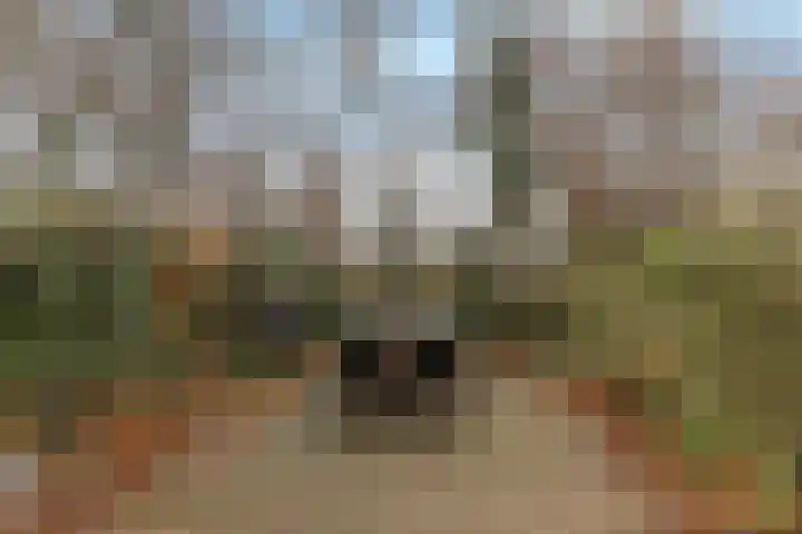 Broekerwaard 76 Alkmaar thumbnail 4