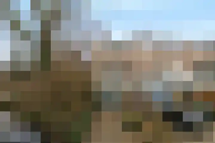 Broekerwaard 76 Alkmaar thumbnail 5