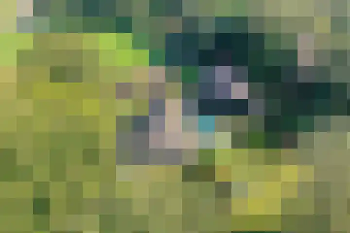 Broekerweg 13 Woudenberg thumbnail 5