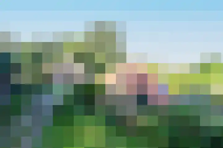 Broekerweg 13 Woudenberg thumbnail 9