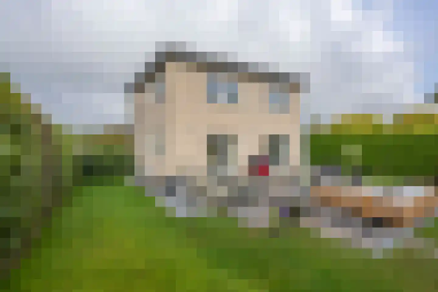 Broekerweg 4 Vaals thumbnail 24