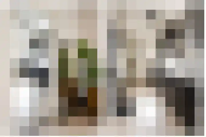 Broekestraat 19 Rilland thumbnail 12