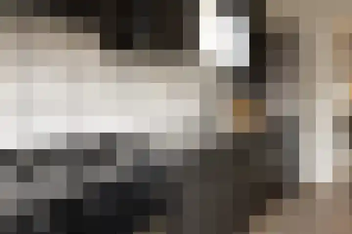 Broekestraat 19 Rilland thumbnail 13