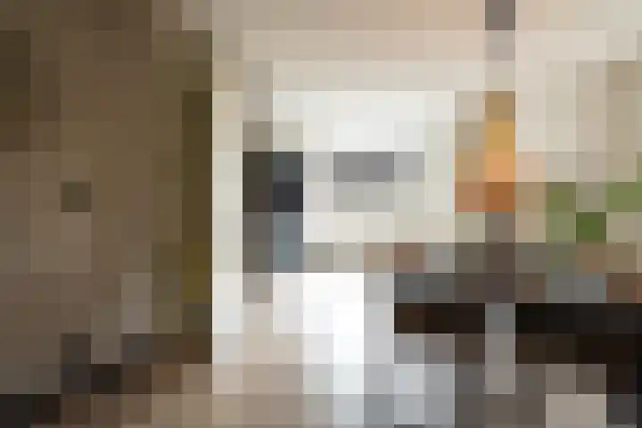 Broekestraat 19 Rilland thumbnail 15