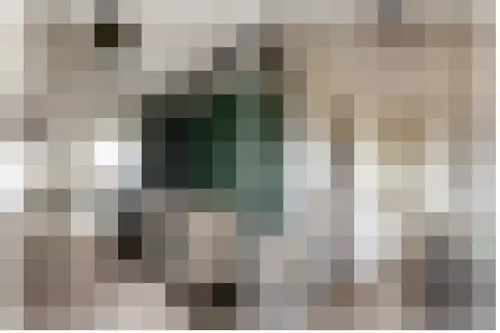 Broekestraat 19 Rilland thumbnail 18
