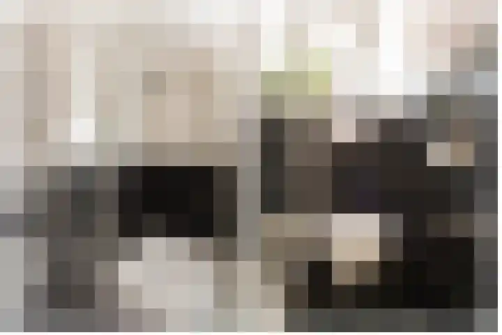 Broekestraat 19 Rilland thumbnail 24