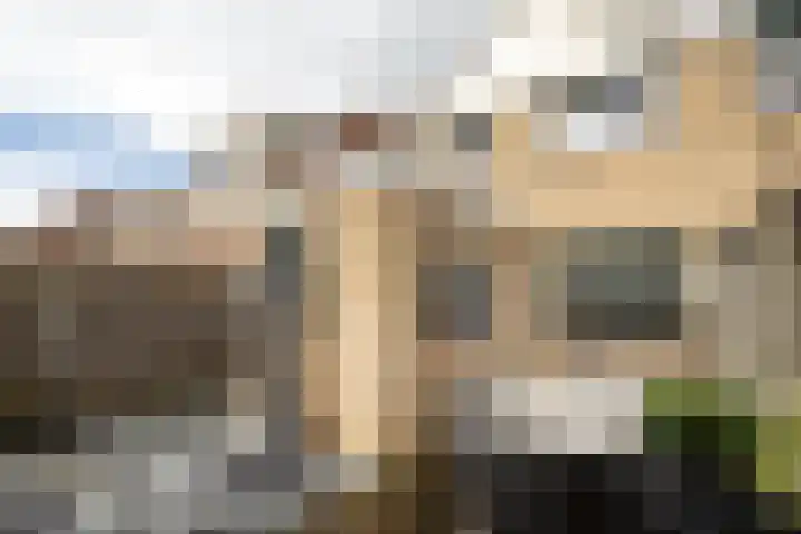 Broekestraat 19 Rilland thumbnail 25
