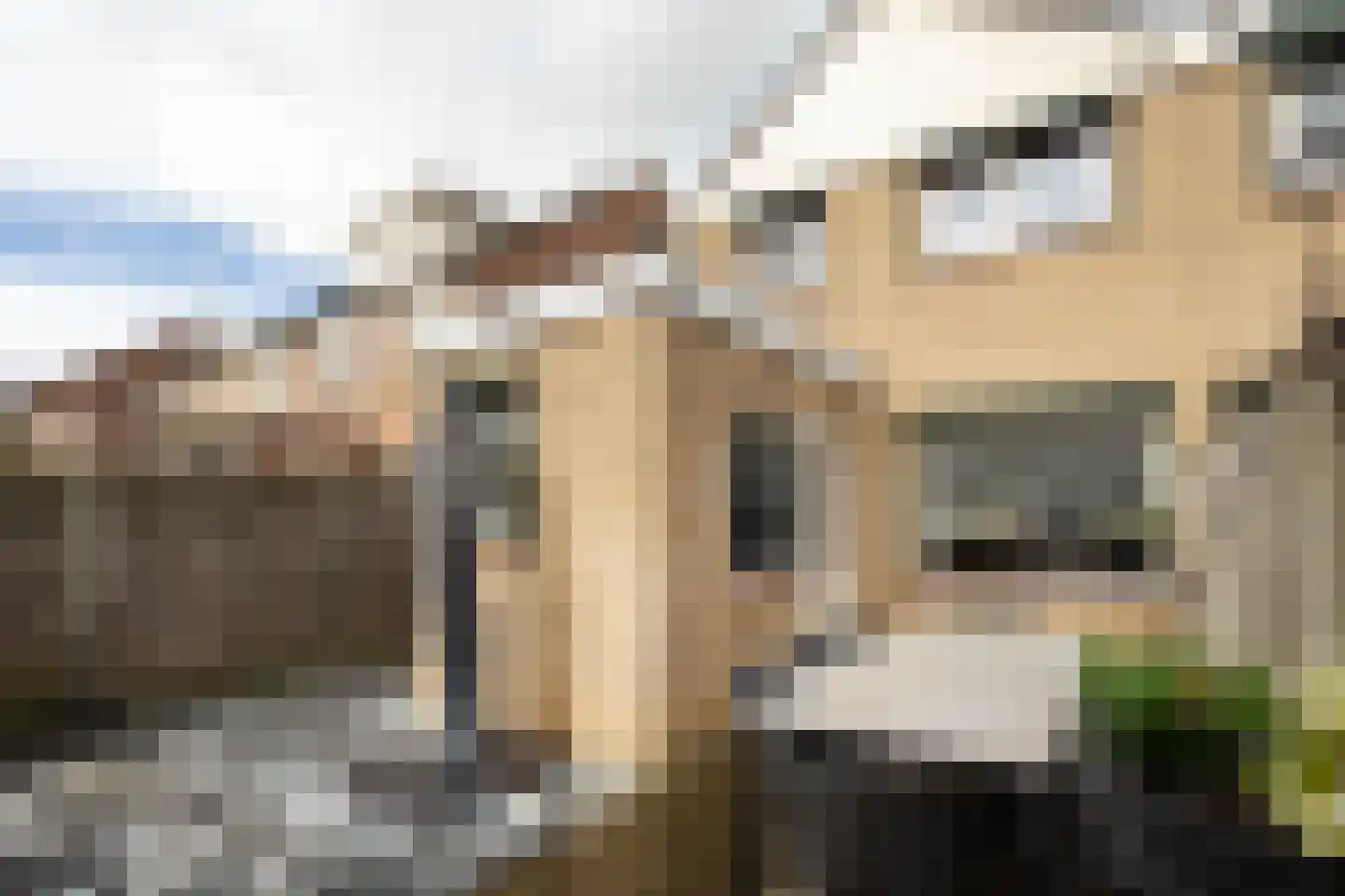 Broekestraat 19 Rilland thumbnail 25
