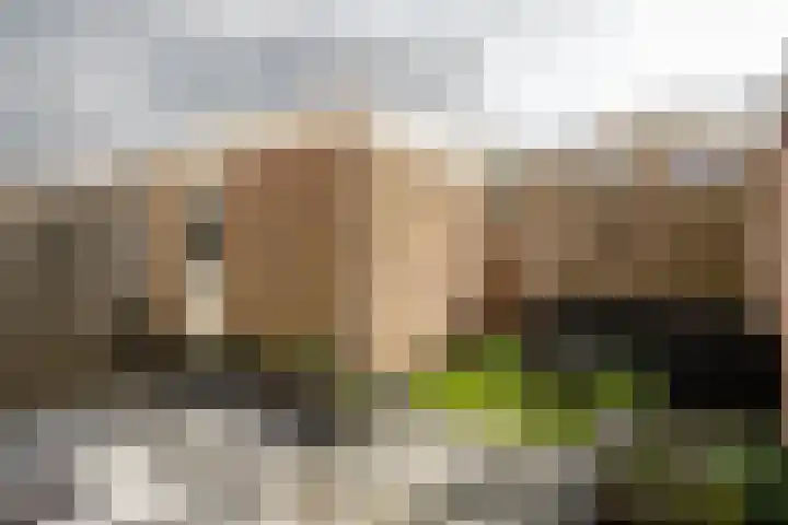 Broekestraat 19 Rilland thumbnail 26