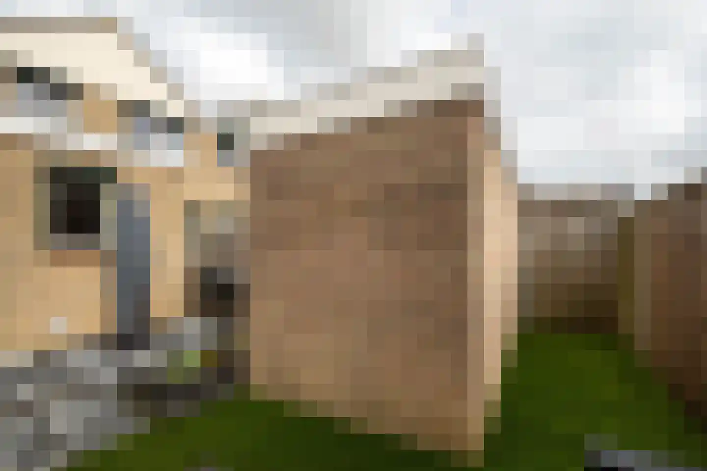 Broekestraat 19 Rilland thumbnail 27