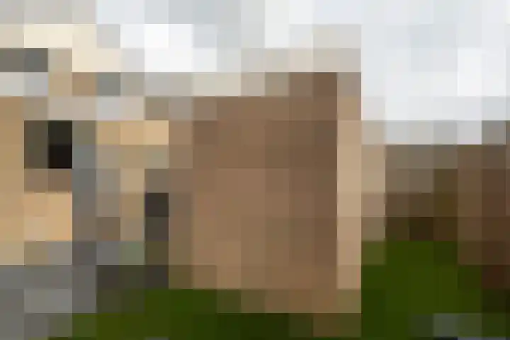 Broekestraat 19 Rilland thumbnail 27