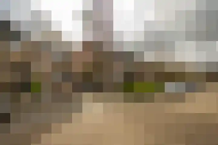 Broekestraat 19 Rilland thumbnail 32
