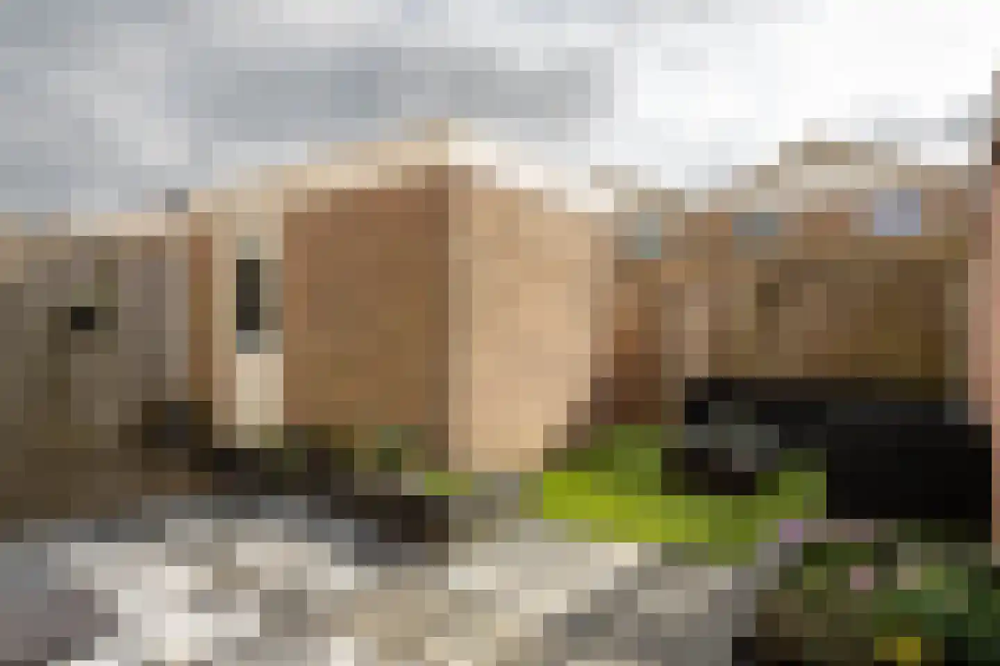 Broekestraat 19 Rilland thumbnail 34