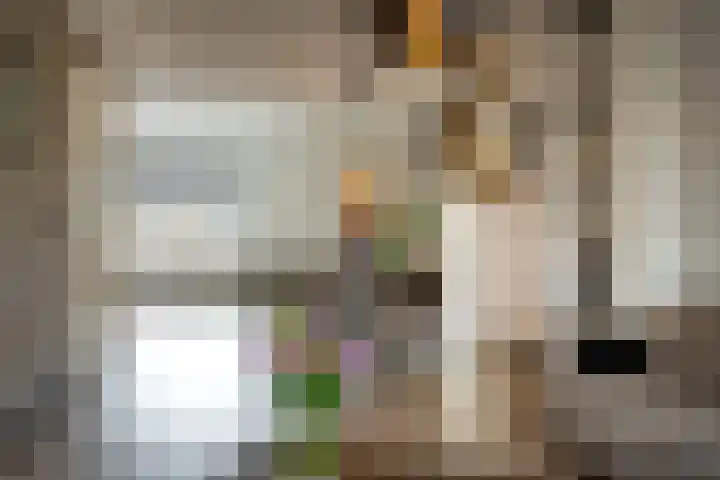 Broekestraat 19 Rilland thumbnail 4
